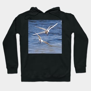 just fly Hoodie